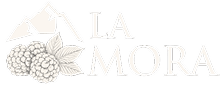 Logotipo para el footer