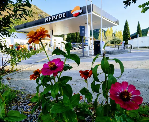 Estación de servicio y flores