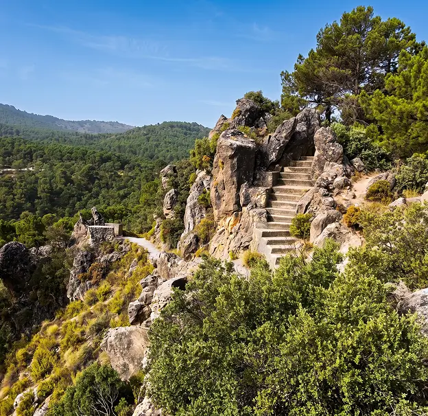 Montes