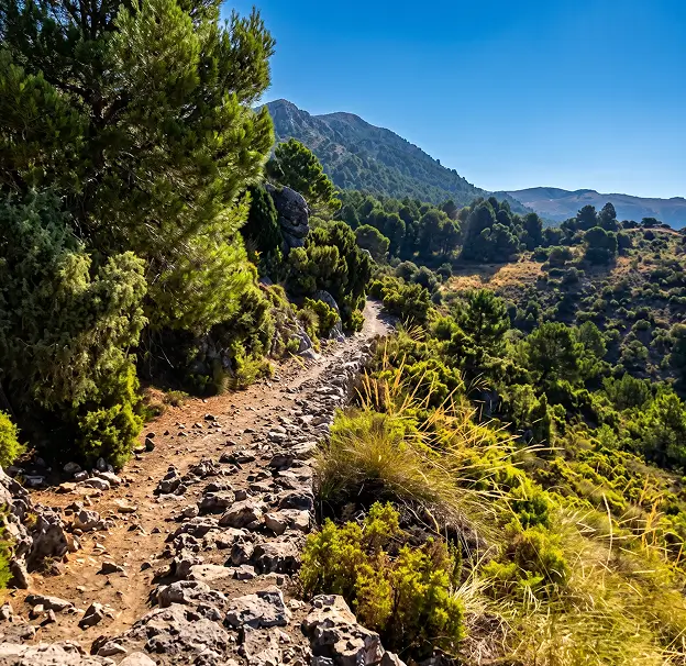 Sendero Cañada del Sereno