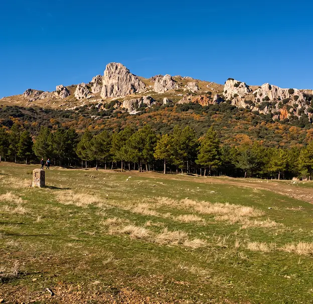 Sendero Las Mimbres